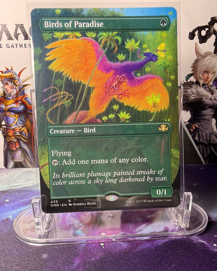 Birds of Paradise - DMR - 439