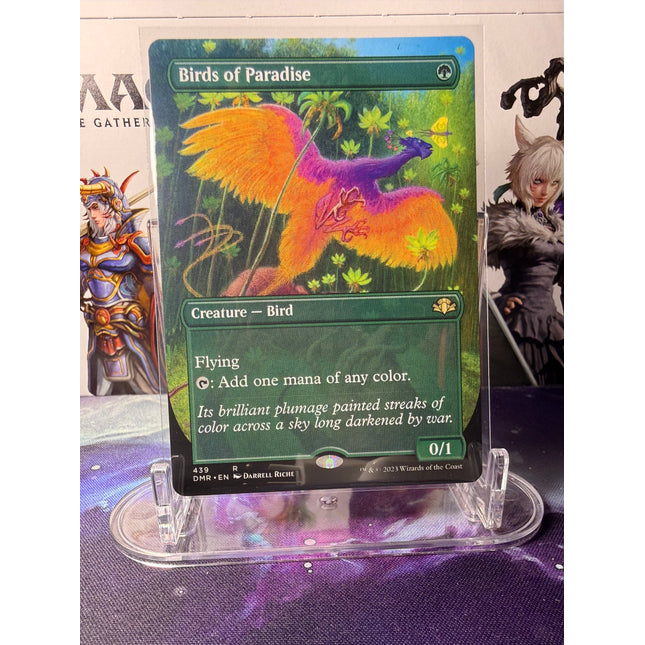 Birds of Paradise - DMR - 439